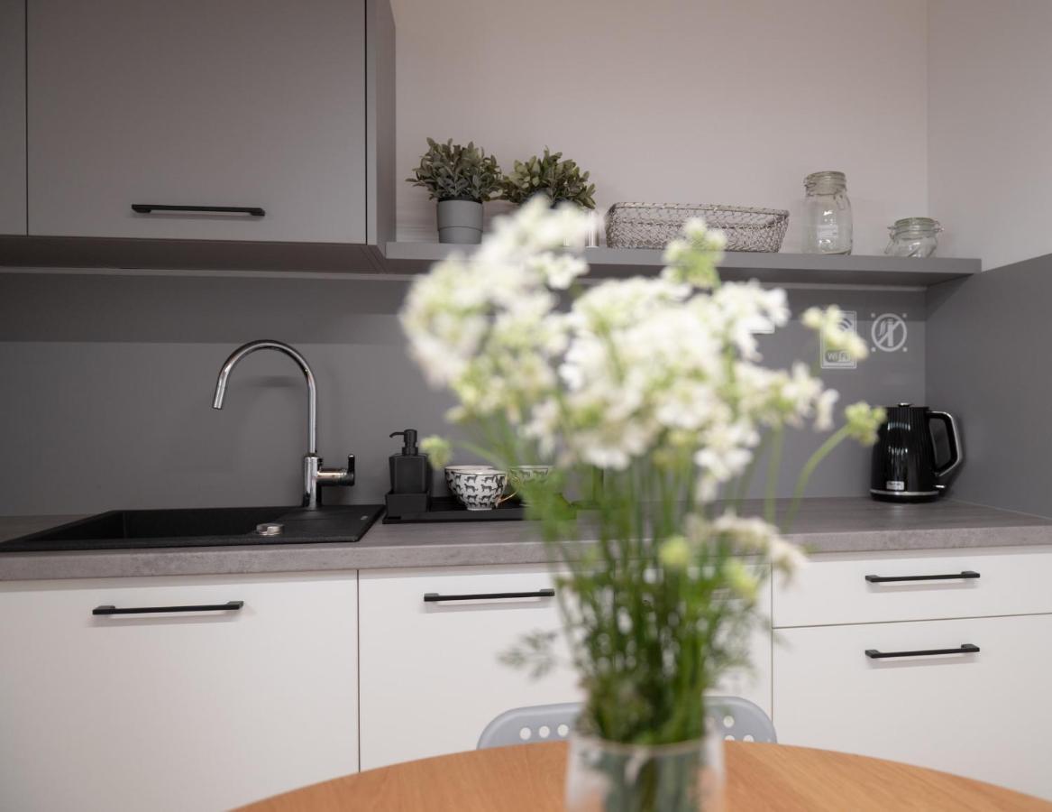 Apartamenty Mlynska 5 Bielsko-Biała Eksteriør bilde