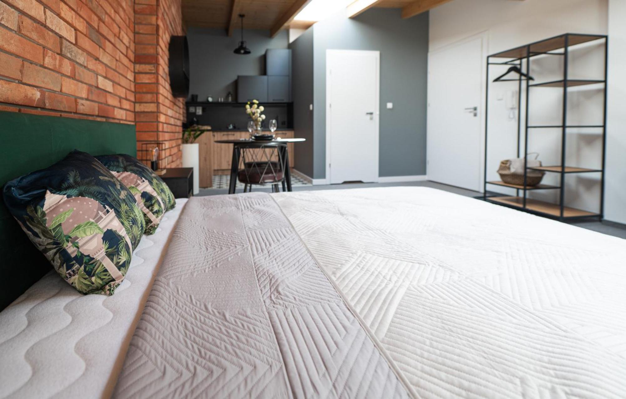 Apartamenty Mlynska 5 Bielsko-Biała Eksteriør bilde