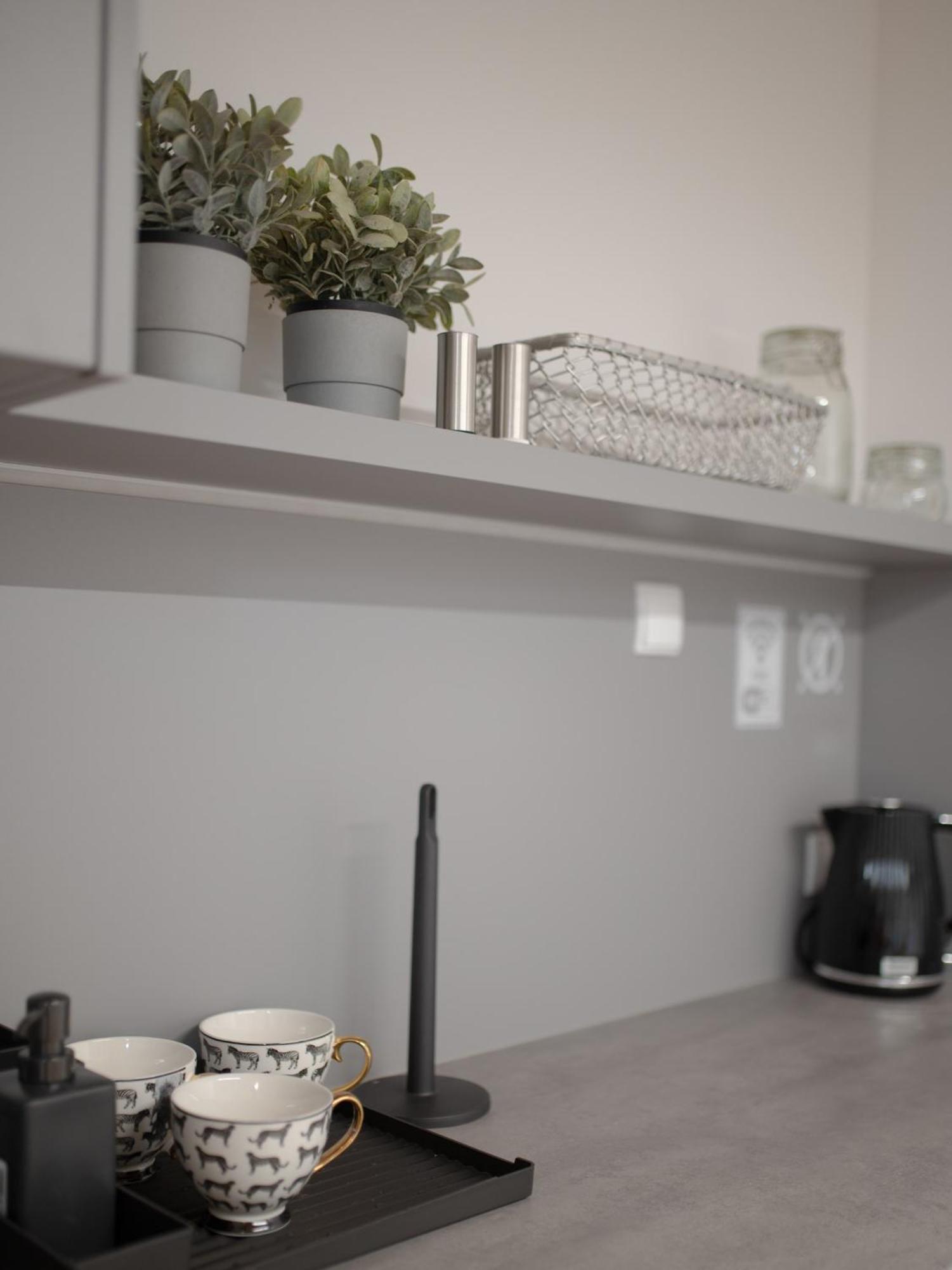 Apartamenty Mlynska 5 Bielsko-Biała Eksteriør bilde